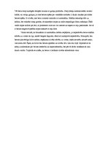 Eseja 'Berze automašīnās un autosportā', 3.