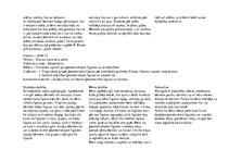 Prakses atskaite 'Prakse pirmsskolā', 8.