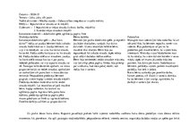 Prakses atskaite 'Prakse pirmsskolā', 17.