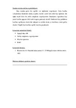 Prakses atskaite 'Aktīvās pedagoģiskās prakses darba mape', 17.