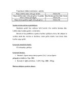 Prakses atskaite 'Aktīvās pedagoģiskās prakses darba mape', 19.