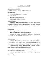 Prakses atskaite 'Aktīvās pedagoģiskās prakses darba mape', 20.