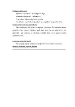 Prakses atskaite 'Aktīvās pedagoģiskās prakses darba mape', 21.