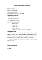 Prakses atskaite 'Aktīvās pedagoģiskās prakses darba mape', 33.