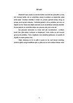 Referāts 'Agresija un vīriešu vardarbība ģimenē', 3.