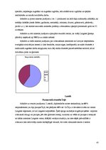 Diplomdarbs 'Ģimenes pabalsti Latvijā un Īrijā', 43.