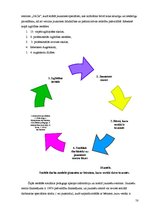 Diplomdarbs 'Ģimenes pabalsti Latvijā un Īrijā', 58.