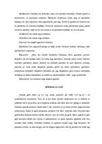 Referāts 'Pesticīdi', 3.