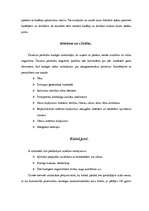 Referāts 'Pesticīdi', 4.