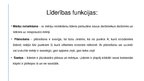 Prezentācija 'Līderības nozīme organizācijas attīstībā', 7.