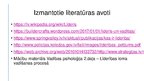 Prezentācija 'Līderības nozīme organizācijas attīstībā', 18.