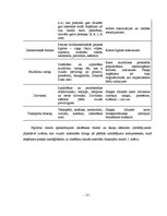 Paraugs 'Bērnu mobilās zīmēšanas sistēmas darbības koncepcijas apraksts', 15.