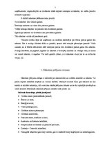 Referāts 'Nākotnes pētījumu virzieni un pielietojamās metodes', 5.