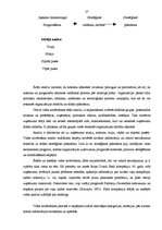 Referāts 'Nākotnes pētījumu virzieni un pielietojamās metodes', 27.