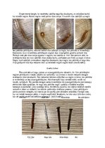 Konspekts 'Metālu ķīmiskā korozija', 10.