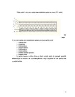 Referāts 'Tehniskā un darbu veikšanas projekta izstrādāšana dzīvojamajai ēkai', 11.