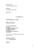 Referāts 'Tehniskā un darbu veikšanas projekta izstrādāšana dzīvojamajai ēkai', 28.