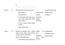 Konspekts 'Stundas plāns dizainā un tehnoloģijās 2.klasei', 4.