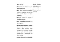 Konspekts 'Stundas plāns dizainā un tehnoloģijās 2.klasei', 5.