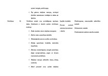 Konspekts 'Stundas plāns dizainā un tehnoloģijās 2.klasei', 6.