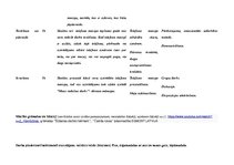 Konspekts 'Stundas plāns dizainā un tehnoloģijās 2.klasei', 7.