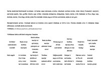 Konspekts 'Stundas plāns dizainā un tehnoloģijās 2.klasei', 8.