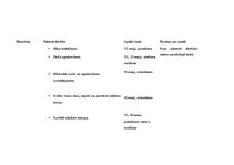 Konspekts 'Stundas plāns dizainā un tehnoloģijās 2.klasei', 13.