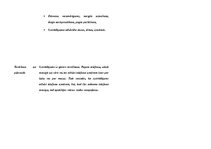 Konspekts 'Stundas plāns dizainā un tehnoloģijās 2.klasei', 15.