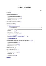 Biznesa plāns 'Uzņēmējdarbība. SIA "AfterHeels"', 2.