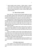 Biznesa plāns 'Uzņēmējdarbība. SIA "AfterHeels"', 7.