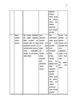 Biznesa plāns 'Uzņēmējdarbība. SIA "AfterHeels"', 9.