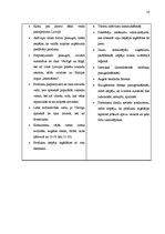 Biznesa plāns 'Uzņēmējdarbība. SIA "AfterHeels"', 16.