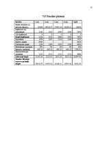 Biznesa plāns 'Uzņēmējdarbība. SIA "AfterHeels"', 25.