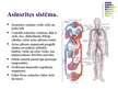 Prezentācija 'Asinsrites sistēma un tās īpatnības jaunākā skolas vecuma bērniem', 2.