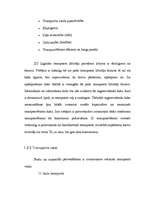 Referāts 'Uzņēmuma ārējā transporta sistēma', 6.