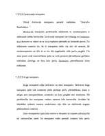 Referāts 'Uzņēmuma ārējā transporta sistēma', 8.