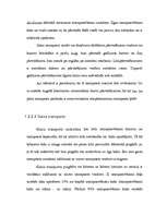 Referāts 'Uzņēmuma ārējā transporta sistēma', 9.