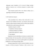 Referāts 'Uzņēmuma ārējā transporta sistēma', 10.