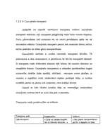 Referāts 'Uzņēmuma ārējā transporta sistēma', 12.