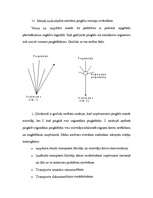 Referāts 'Uzņēmuma ārējā transporta sistēma', 18.