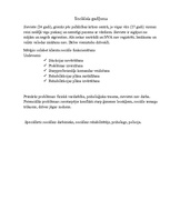 Konspekts 'Sociālās rehabilitācijas plāns', 1.