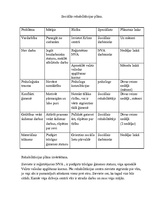 Konspekts 'Sociālās rehabilitācijas plāns', 2.