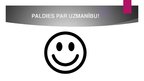 Prezentācija 'Komunikācijas studiju katedrā aizstāvēto bakalauru darbu analīze', 23.