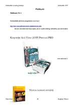 Referāts 'Datorvīrusi, antivīrusa darbība', 26.