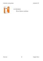 Referāts 'Datorvīrusi, antivīrusa darbība', 28.