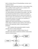 Referāts 'Pierādījuma būtība', 7.