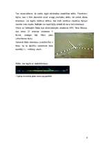 Referāts 'Elektromagnētiskie viļņi un to pielietojums mūsdienu tehnoloģijās', 8.