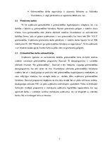 Prakses atskaite 'Grāmatvedības prakses atskaite SIA "X"', 7.