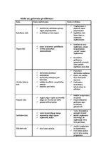 Konspekts 'Riski un galvenās problēmas', 1.