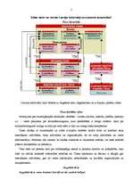 Konspekts 'Tiesa', 2.